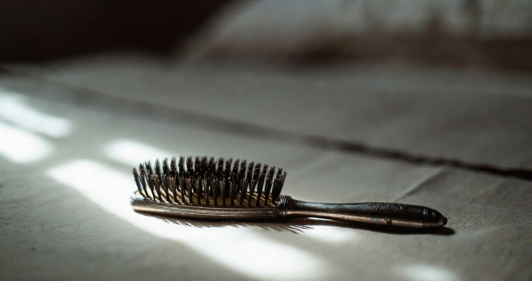 Loss Sense, a poem by Bernadette O'Reilly at Spillwords.com