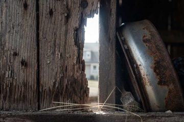 This Barn of Barns, a poem by John Grey at Spillwords.com
